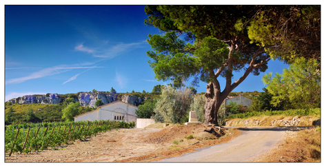 Chateau des Karantes
